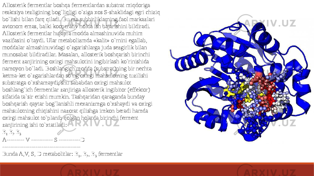 Allosterik fermentlar boshqa fermentlardan substrat miqdoriga reaktsiya tezligining bog`liqligi o`ziga xos S-shaklidagi egri chiziq bo`lishi bilan farq qiladi. Bu esa subbirliklarning faol markazlari avtonom emas, balki kooperativ holda ish bajarishini bildiradi. Allosterik fermentlar hujayra modda almashinuvida muhim vazifasini o`taydi. Ular metabolizmda «kalit» o`rnini egallab, moddalar almashinuvidagi o`zgarishlarga juda sezgirlik bilan munosabat bildiradilar. Masalan, allosterik boshqarish birinchi ferment zanjirining oxirgi mahsulotini ingibirlash ko`rinishida namoyon bo`ladi. Boshlangich modda (substrat)ning bir nechta ketma-ket o`zgarishlardan so`ng oxirgi mahsulotning tuzilishi substratga o`xshamaydi, shu sababdan oxirgi mahsulot boshlang`ich fermentlar zanjiriga allosterik ingibitor (effektor) sifatida ta`sir etishi mumkin. Tashqaridan qaraganda bunday boshqarish qaytar bog`lanishli mexanizmga o`xshaydi va oxirgi mahsulotning chiqishini nazorat qilishga imkon beradi hamda oxirgi mahsulot to`planib qolgan holatda birinchi ferment zanjirining ishi to`xtatiladi: E 1 E 2 E 3 A--------- V ----------- S -----------D ---------------------------------------- Bunda A,V, S, D metabolitlar: E 1 , E 2 , E 3 fermentlar 