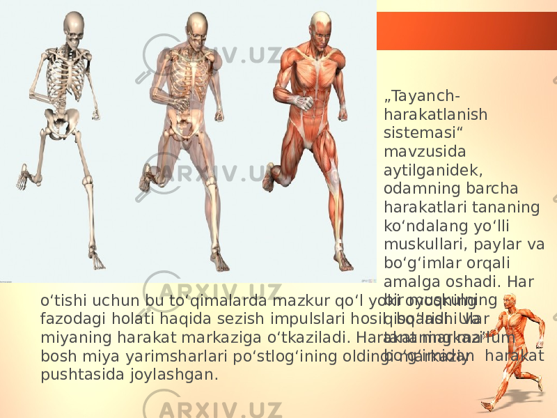 • „ Tayanch- harakatlanish sistemasi“ mavzusida aytilganidek, odamning barcha harakatlari tananing ko‘ndalang yo‘lli muskullari, paylar va bo‘g‘imlar orqali amalga oshadi. Har bir muskulning qisqarishi va tananing ma’lum bo‘g‘imidan harakato‘tishi uchun bu to‘qimalarda mazkur qo‘l yoki oyoqning fazodagi holati haqida sezish impulslari hosil bo‘ladi. Ular miyaning harakat markaziga o‘tkaziladi. Harakat markazi bosh miya yarimsharlari po‘stlog‘ining oldingi markaziy pushtasida joylashgan. 