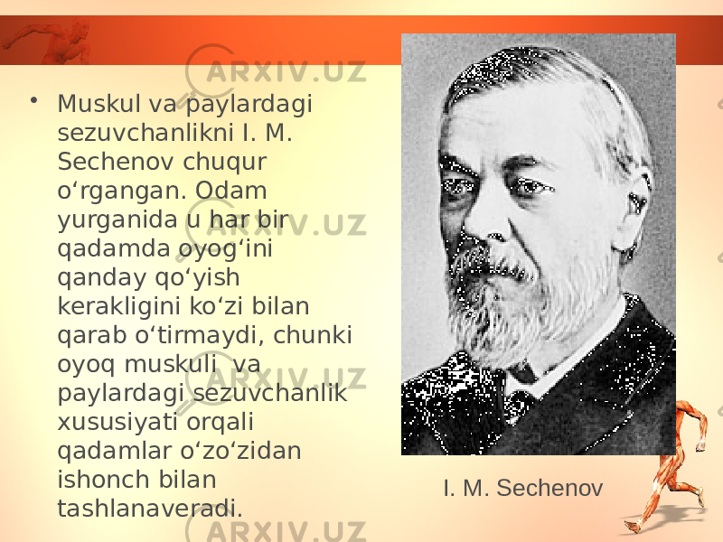 • Muskul va paylardagi sezuvchanlikni I. M. Sechenov chuqur o‘rgangan. Odam yurganida u har bir qadamda oyog‘ini qanday qo‘yish kerakligini ko‘zi bilan qarab o‘tirmaydi, chunki oyoq muskuli va paylardagi sezuvchanlik xususiyati orqali qadamlar o‘zo‘zidan ishonch bilan tashlanaveradi. I. M. Sechenov 