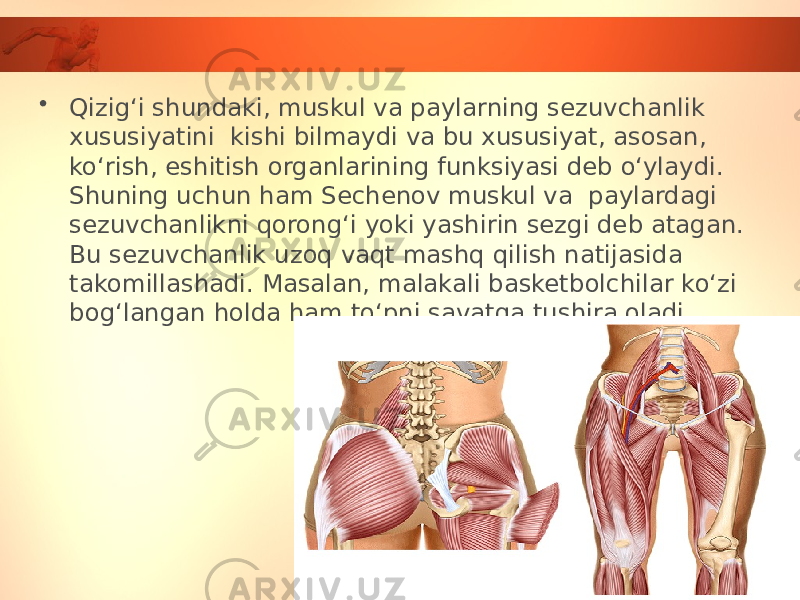 • Qizig‘i shundaki, muskul va paylarning sezuvchanlik xususiyatini kishi bilmaydi va bu xususiyat, asosan, ko‘rish, eshitish organlarining funksiyasi deb o‘ylaydi. Shuning uchun ham Sechenov muskul va paylardagi sezuvchanlikni qorong‘i yoki yashirin sezgi deb atagan. Bu sezuvchanlik uzoq vaqt mashq qilish natijasida takomillashadi. Masalan, malakali basketbolchilar ko‘zi bog‘langan holda ham to‘pni savatga tushira oladi. 