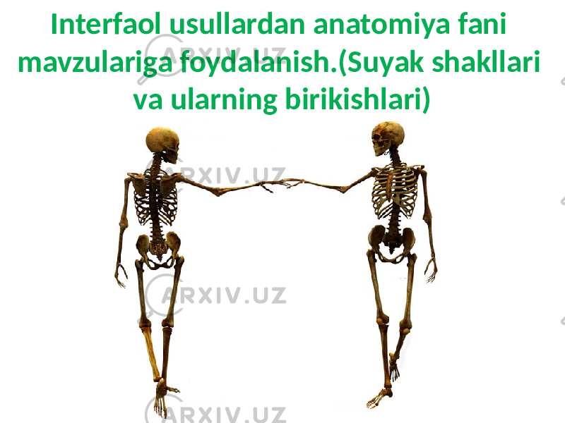 Interfaol usullardan anatomiya fani mavzulariga foydalanish.(Suyak shakllari va ularning birikishlari) 