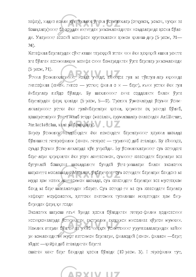 зафар), илдиз пояли кўп йиллик ўтчил ўсимликлар (отқулоқ, ровоч, чукри за 6ошқалар)нинг ба-ҳордан янгитдан ривожланадиган новдаларида ҳосил бўла- ди. Уларнинг асосий вазифаси куртаклаони ҳимоя қилиш-дир (5-расм, 21— 24). Катафилл барглардан сўнг яхши тараққий этган чин ёки ҳақиқий яшил рангга эга бўлган ассимиляция вазифа-сини бажарадиган ўрта барглар ривожланади (5-расм, 21). Ўтчил ўсимликларнинг новда учида, айниқса гул ва тўпгул-лар яқинида гипсофилл (юнон. гипсо — устки; фил-л о н — барг), яъни устки ёки гул ёнбарглар пайдо бўлади. Бу шаклининг анча соддалиги билан ўрта барглардан фарқ қилади (5-расм, 5—9). Тропик ўрмонларда ўсувчи ўсим- ликларнинг устки ёки гулёнбарглари қизил, қирмизи оқ рангда бўлиб, ҳашаротларни ўзига жалб этади (масалан, арумлошлар оиласидан АпШигшт, 2ап1ес1е8с1ш, кала ва бошқалар). Бирор ўсимлик новдасидаги ёки поясидаги баргларнинг ҳархил шаклда бўлишига гетерофилия (юнон. гетерос — турлича) деб аталади. Бу айниқса, сувда ўсувчи ўсим-ликларда кўп учрайди. Ьу ўсимликларнинг сув остидага барг-лари қирқилган ёки узун лентасимон, сувнинг юзасидаги барглари эса бугунлай бошқача шаклдалиги бундай ўзга-ришлари билан экологик шароитга мослашади. Масалан, ўқбаргнинг сув остидаги барглари бандсиз ва жуда ҳам нозик лентасимон шаклда, сув юзасидаги барглари эса мустаҳкам банд ва барг шапалоғидан иборат. Сув остида-ги ва сув юзасидаги барглар нафақат морфологик, ҳаттоки анатомик тузилиши жиҳатидан ҳам бир- биридан фарқ қи гсади Экологик шарош ғаъ< йрида ҳосил бўладиган гетеро-филия ҳодисасини иссиқхоналарда ўстирилган австралия акацияси мисолиаа кўргои мумкин. Намлик етарли бўлган-да унйб чиққан ўсимтанинг уруғпаллаларидан кейин ри-вожланадигэн жуфт патсимон барглари, филлодий (юнон. филлон —барг; эйдос —қиёфа деб аталадиган баргга сшаган кенг барг бандида қосил бўлади (10-расм. 3). I герофилия тут, 