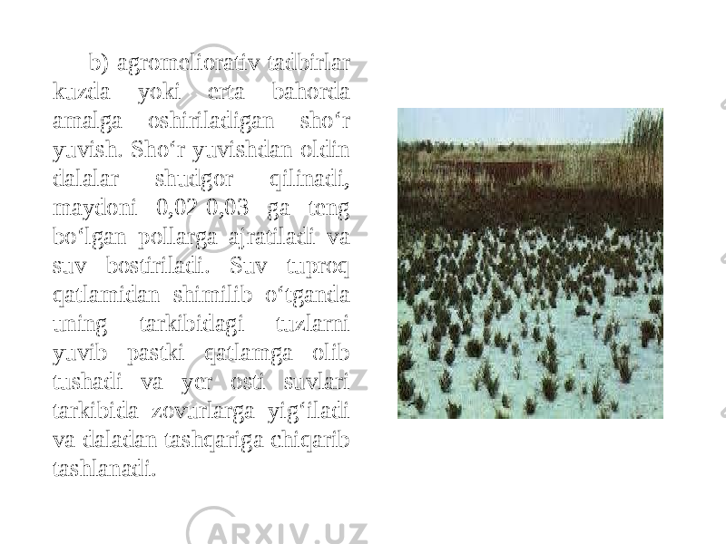 b) agromeliorativ tadbirlar kuzda yoki erta bahorda amalga oshiriladigan sho‘r yuvish. Sho‘r yuvishdan oldin dalalar shudgor qilinadi, maydoni 0,02-0,03 ga teng bo‘lgan pollarga ajratiladi va suv bostiriladi. Suv tuproq qatlamidan shimilib o‘tganda uning tarkibidagi tuzlarni yuvib pastki qatlamga olib tushadi va yer osti suvlari tarkibida zovurlarga yig‘iladi va daladan tashqariga chiqarib tashlanadi. 