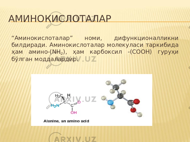 АМИНОКИСЛОТАЛАР “ Аминокислоталар” номи, дифункционалликни билдиради. Аминокислоталар молекуласи таркибида ҳам амино-(NH 2 ), ҳам карбоксил -(CООH) гуруҳи бўлган моддалардир. 