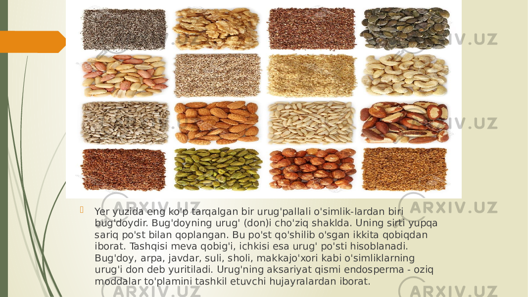  Yer yuzida eng ko&#39;p tarqalgan bir urug&#39;pallali o&#39;simlik-lardan biri bug&#39;doydir. Bug&#39;doyning urug&#39; (don)i cho&#39;ziq shaklda. Uning sirti yupqa sariq po&#39;st bilan qoplangan. Bu po&#39;st qo&#39;shilib o&#39;sgan ikkita qobiqdan iborat. Tashqisi meva qobig&#39;i, ichkisi esa urug&#39; po&#39;sti hisoblanadi. Bug&#39;doy, arpa, javdar, suli, sholi, makkajo&#39;xori kabi o&#39;simliklarning urug&#39;i don deb yuritiladi. Urug&#39;ning aksariyat qismi endosperma - oziq moddalar to&#39;plamini tashkil etuvchi hujayralardan iborat. 