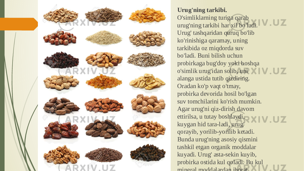  Urug&#39;ning tarkibi. O&#39;simliklarning turiga qarab urug&#39;ning tarkibi har xil bo&#39;ladi. Urug&#39; tashqaridan quruq bo&#39;lib ko&#39;rinishiga qaramay, uning tarkibida oz miqdorda suv bo&#39;ladi. Buni bilish uchun probirkaga bug&#39;doy yoki boshqa o&#39;simlik urug&#39;idan solib, uni alanga ustida tutib qizdiring. Oradan ko&#39;p vaqt o&#39;tmay, probirka devorida hosil bo&#39;lgan suv tomchilarini ko&#39;rish mumkin. Agar urug&#39;ni qiz-dirish davom ettirilsa, u tutay boshlaydi, kuygan hid tara-ladi, urug&#39; qorayib, yorilib-yorilib ketadi. Bunda urug&#39;ning asosiy qismini tashkil etgan organik moddalar kuyadi. Urug&#39; asta-sekin kuyib, probirka ostida kul qoladi. Bu kul mineral moddalardan iborat. 