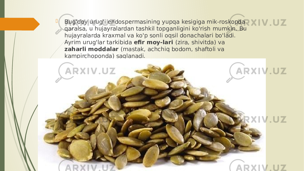  Bug&#39;doy urug&#39;i endospermasining yupqa kesigiga mik-roskopda qaralsa, u hujayralardan tashkil topganligini ko&#39;rish mumkin. Bu hujayralarda kraxmal va ko&#39;p sonli oq sil donachalari bo&#39;ladi. Ayrim urug&#39;lar tarkibida efir moy-lari (zira, shivitda) va zaharli moddalar (mastak, achchiq bodom, shaftoli va kampirchoponda) saqlanadi. 