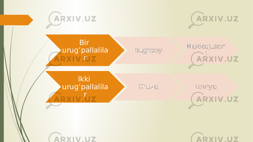 Bir urug’pallalila r Bug’doy Makkajuxor i Ikki urug’pallalila r G’uza Loviya 