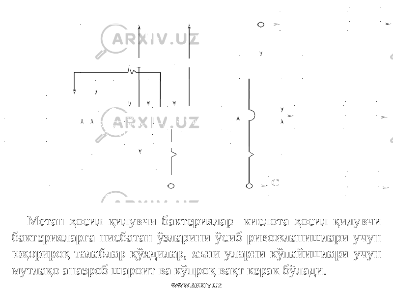 Метан ҳосил қилувчи бактериялар кислота ҳосил қилувчи бактерияларга нисбатан ўзларини ўсиб ривожланишлари учун юқорироқ талаблар қўядилар , я ъ ни уларни кўпайишлари учун мутлақо анаэроб шароит ва кўпроқ вақт керак бўлади. WWW.ARXIV.UZ 