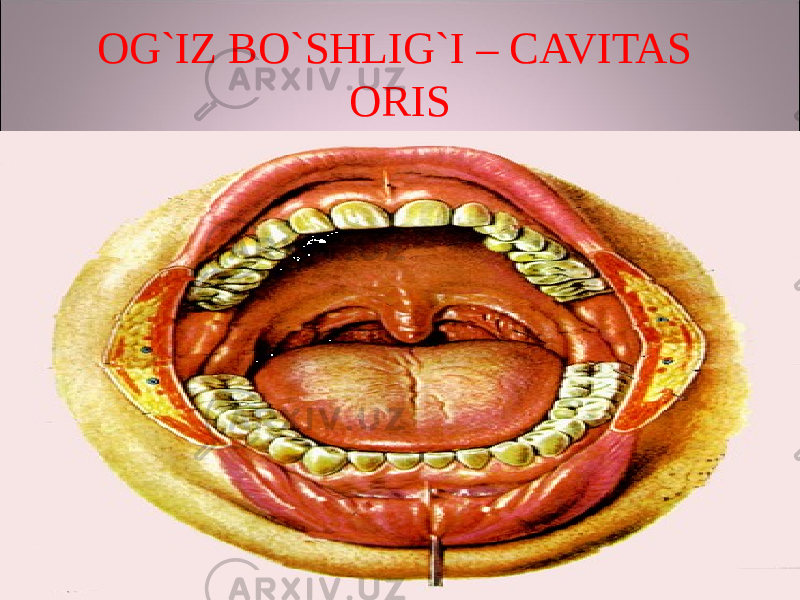 OG`IZ BO`SHLIG`I – CAVITAS ORIS 