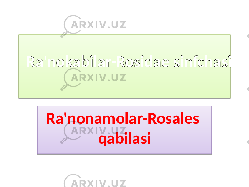 Ra&#39;nokabilar-Rosidae sinfchasi Ra&#39;nonamolar-Rosales qabilasi010203 0102 14 