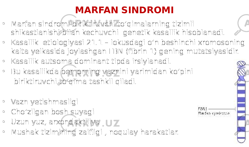 MARFAN SINDROMI • Marfan sindromi biriktiruvchi to’qimalarning tizimli shikastlanishi bilan kechuvchi genetik kasallik hisoblanadi. • Kasallik etiologiyasi 21.1 – lokusdagi o’n beshinchi xromosoning kalta yelkasida joylashgan FBN (fibrin 1) gening mutatsiyasidir. • Kasallik autsoma dominant tipda irsiylanadi. • Bu kasallikda bemorning vaznini yarimidan ko’pini biriktiruvchi to’qima tashkil qiladi. • Vazn yetishmasligi • Cho’zilgan bosh suyagi • Uzun yuz, arxondaktiliya • Mushak tizimining zaifligi , noqulay harakatlar. 