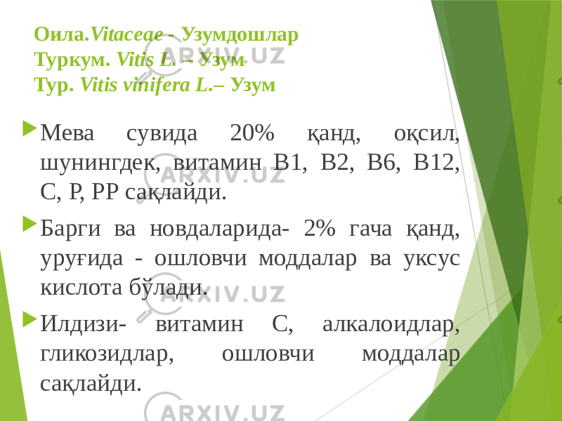 Оила. Vitaceae - Узумдошлар Туркум. Vitis L. – Узум Тур. Vitis vinifera L. – Узум  Мева сувида 20% қанд, оқсил, шунингдек, витамин В1, В2, В6, В12, С, Р, РР сақлайди.  Барги ва новдаларида- 2% гача қанд, уруғида - ошловчи моддалар ва уксус кислота бўлади.  Илдизи- витамин С, алкалоидлар, гликозидлар, ошловчи моддалар сақлайди. 