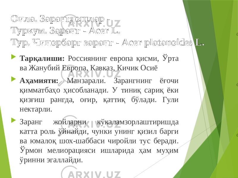  Тарқалиши: Россиянинг европа қисми, Ўрта ва Жанубий Европа, Кавказ, Кичик Осиё  Аҳамияти: Манзарали. Зарангнинг ёғочи қимматбаҳо ҳисобланади. У тиниқ сариқ ёки қизғиш рангда, оғир, қаттиқ бўлади. Гули нектарли.  Заранг жойларни кўкаламзорлаштиришда катта роль ўйнайди, чунки унинг қизил барги ва юмалоқ шох-шаббаси чиройли тус беради. Ўрмон мелиорацияси ишларида ҳам муҳим ўринни эгаллайди. Оила. Зарангдошлар - Туркум. Заранг - Acer L. Тур. Чинорбарг заранг - Acer platanoides L. 