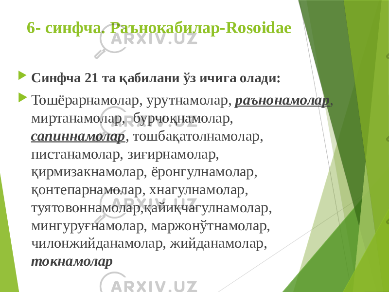 6- синфча. Раънокабилар-Rosoidae  Синфча 21 та қабилани ўз ичига олади:  Тошёрарнамолар, урутнамолар, раънонамолар , миртанамолар, бурчоқнамолар, сапиннамолар , тошбақатолнамолар, пистанамолар, зиғирнамолар, қирмизакнамолар, ёронгулнамолар, қонтепарнамолар, хнагулнамолар, туятовоннамолар,қайиқчагулнамолар, мингуруғнамолар, маржонўтнамолар, чилонжийданамолар, жийданамолар, токнамолар 