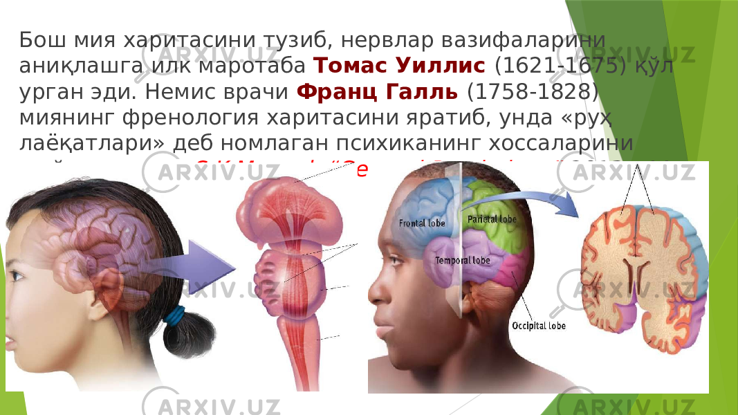 Бош мия харитасини тузиб, нервлар вазифаларини аниқлашга илк маротаба Томас Уиллис (1621-1675) қўл урган эди. Немис врачи Франц Галль (1758-1828) миянинг френология харитасини яратиб, унда «руҳ лаёқатлари» деб номлаган психиканинг хоссаларини жойлаштирди. S.K.Mangal: “General Psychology” 2013y 44p Aim.Uz 