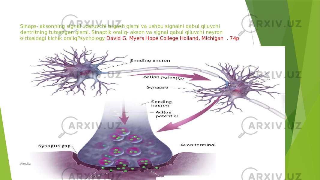 Sinaps- aksonning signal uzatuvchi tugash qismi va ushbu signalni qabul qiluvchi dentritning tutashgan qismi. Sinaptik oraliq- akson va signal qabul qiluvchi neyron o’rtasidagi kichik oraliqPsychology David G. Myers Hope College Holland, Michigan . 74p Aim.Uz 