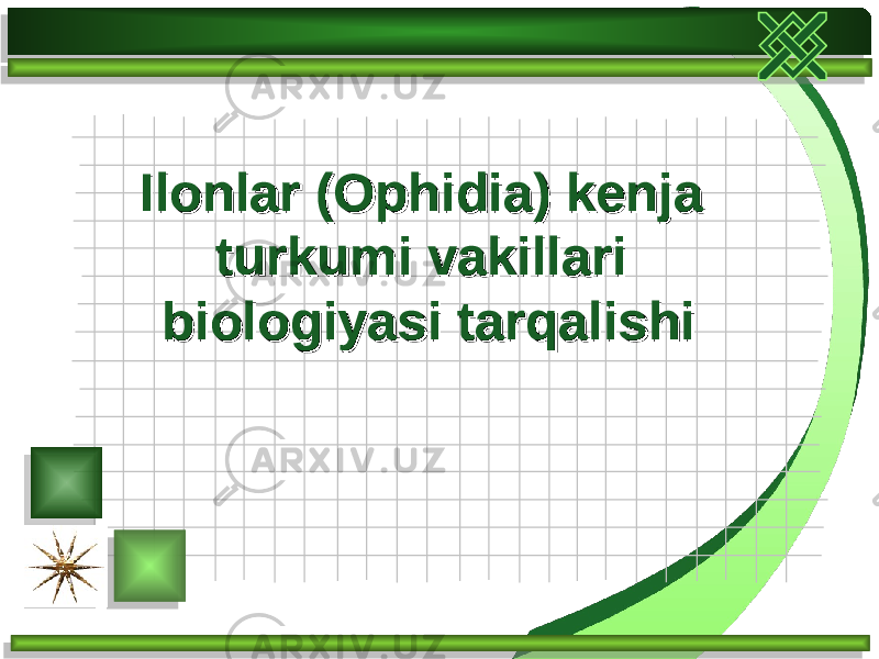 Ilonlar (Ophidia) kenja Ilonlar (Ophidia) kenja turkumi vakillari turkumi vakillari biologiyasi tarqalishibiologiyasi tarqalishi 