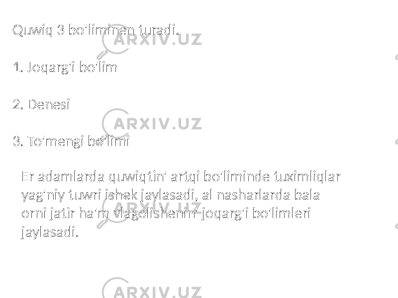 Quwiq 3 bo&#39;liminen turadi. 1. Joqarg&#39;i bo&#39;lim 2. Denesi 3. To&#39;mengi bo&#39;limi Er adamlarda quwiqtin&#39; artqi bo&#39;liminde tuximliqlar yag&#39;niy tuwri ishek jaylasadi, al nasharlarda bala orni jatir ha&#39;m vlagolishenin&#39; joqarg&#39;i bo&#39;limleri jaylasadi. 