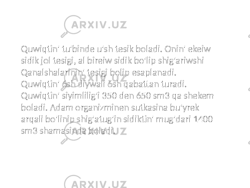 Quwiqtin&#39; tu&#39;binde u&#39;sh tesik boladi. Onin&#39; ekeiw sidik jol tesigi, al bireiw sidik bo&#39;lip shig&#39;ariwshi Qanalshalarinin&#39; tesigi bolip esaplanadi. Quwiqtin&#39; 6sh diywali 6sh qabattan turadi. Quwiqtin&#39; siyimlilig&#39;i 350 den 650 sm3 qa shekem boladi. Adam organizminen sutkasina bu&#39;yrek arqali bo&#39;linip shig&#39;atug&#39;in sidiktin&#39; mug&#39;dari 1400 sm3 shamasinda boladi. 