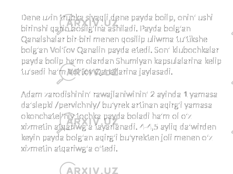 Dene uzin trubka siyaqli dene payda boilp, onin&#39; ushi birinshi qarin boslig&#39;ina ashiladi. Payda bolg&#39;an Qanalshalar bir-biri menen qosilip uliwma tu&#39;tikshe bolg&#39;an Vol&#39;fov Qanalin payda etedi. Son&#39; klubochkalar payda bolip ha&#39;m olardan Shumlyan kapsulalarina kelip tu&#39;sedi ha&#39;m Vol&#39;fov Qanallarina jaylasadi. Adam zarodishinin&#39; rawajlaniwinin&#39; 2 ayinda 1 yamasa da&#39;slepki /pervichniy/ bu&#39;yrek artinan aqirg&#39;i yamasa okonchatel&#39;niy tochka payda boladi ha&#39;m ol o&#39;z xizmetin atqariwg&#39;a tayarlanadi. 4-4,5 ayliq da&#39;wirden keyin payda bolg&#39;an aqirg&#39;i bu&#39;yrekten joli menen o&#39;z xizmetin atqariwg&#39;a o&#39;tedi. 