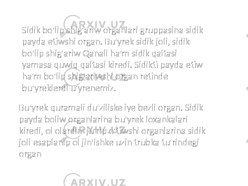 Sidik bo&#39;lip shig&#39;ariw organlari gruppasina sidik payda etiwshi organ. Bu&#39;yrek sidik joli, sidik bo&#39;lip shig&#39;ariw Qanali ha&#39;m sidik qaltasi yamasa quwiq qaltasi kiredi. Sidikti payda etiw ha&#39;m bo&#39;lip shig&#39;ariwshi organ retinde bu&#39;yreklerdi u&#39;yrenemiz. Bu&#39;yrek quramali du&#39;ziliske iye bezli organ. Sidik payda boliw organlarina bu&#39;yrek loxankalari kiredi, ol olardin&#39; ju&#39;rip o&#39;tiwshi organlarina sidik joli esaplanip ol jin&#39;ishke uzin trubka tu&#39;rindegi organ 