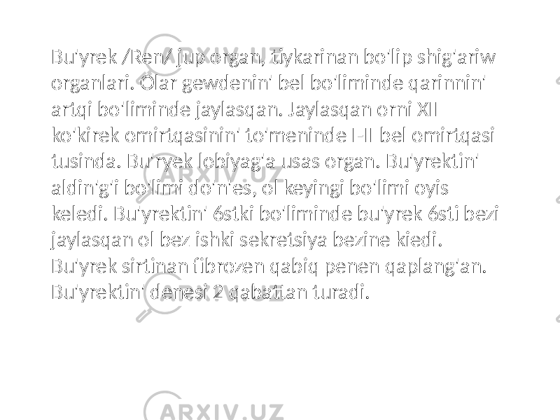 Bu&#39;yrek /Ren/ jup organ, tiykarinan bo&#39;lip shig&#39;ariw organlari. Olar gewdenin&#39; bel bo&#39;liminde qarinnin&#39; artqi bo&#39;liminde jaylasqan. Jaylasqan orni XII ko&#39;kirek omirtqasinin&#39; to&#39;meninde I-II bel omirtqasi tusinda. Bu&#39;ryek lobiyag&#39;a usas organ. Bu&#39;yrektin&#39; aldin&#39;g&#39;i bo&#39;limi do&#39;n&#39;es, ol keyingi bo&#39;limi oyis keledi. Bu&#39;yrektin&#39; 6stki bo&#39;liminde bu&#39;yrek 6sti bezi jaylasqan ol bez ishki sekretsiya bezine kiedi. Bu&#39;yrek sirtinan fibrozen qabiq penen qaplang&#39;an. Bu&#39;yrektin&#39; denesi 2 qabattan turadi. 