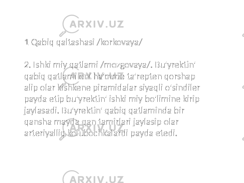 1 Qabiq qaltashasi /korkovaya/ 2. Ishki miy qatlami /mozgovaya/. Bu&#39;yrektin&#39; qabiq qatlami oni ha&#39;mme ta&#39;repten qorshap alip olar kishkene piramidalar siyaqli o&#39;sindiler payda etip bu&#39;yrektin&#39; ishki miy bo&#39;limine kirip jaylasadi. Bu&#39;yrektin&#39; qabiq qatlaminda bir qansha mayda qan tamirlari jaylasip olar arteriyalliq kolubochkalardi payda etedi. 