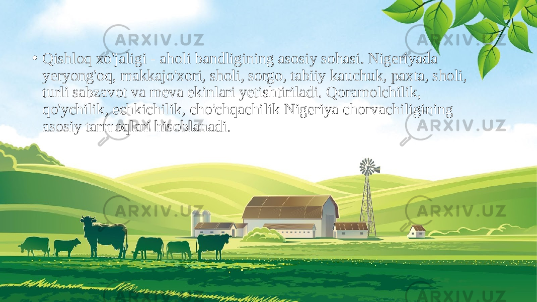 • Qishloq xo&#39;jaligi - aholi bandligining asosiy sohasi. Nigeriyada yeryong&#39;oq, makkajo&#39;xori, sholi, sorgo, tabiiy kauchuk, paxta, sholi, turli sabzavot va meva ekinlari yetishtiriladi. Qoramolchilik, qo&#39;ychilik, echkichilik, cho&#39;chqachilik Nigeriya chorvachiligining asosiy tarmoqlari hisoblanadi. 