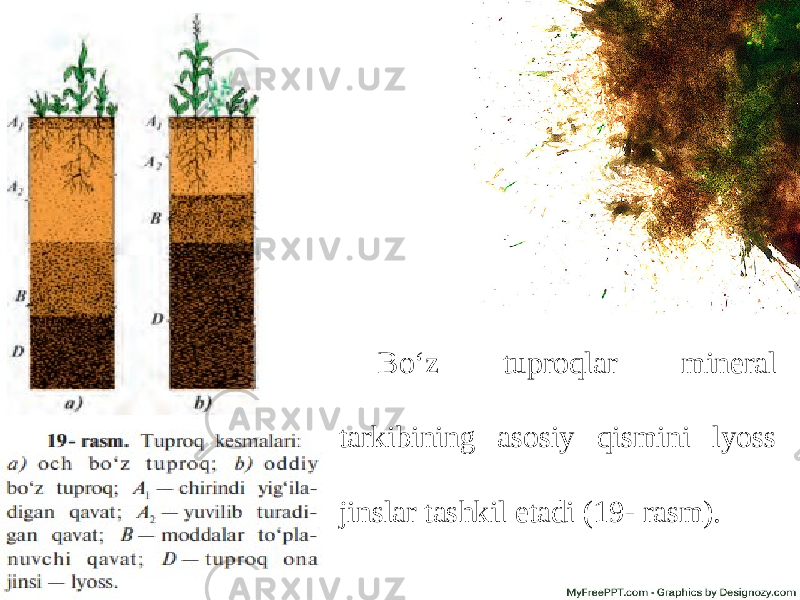 Bo‘z tuproqlar mineral tarkibining asosiy qismini lyoss jinslar tashkil etadi (19- rasm). 