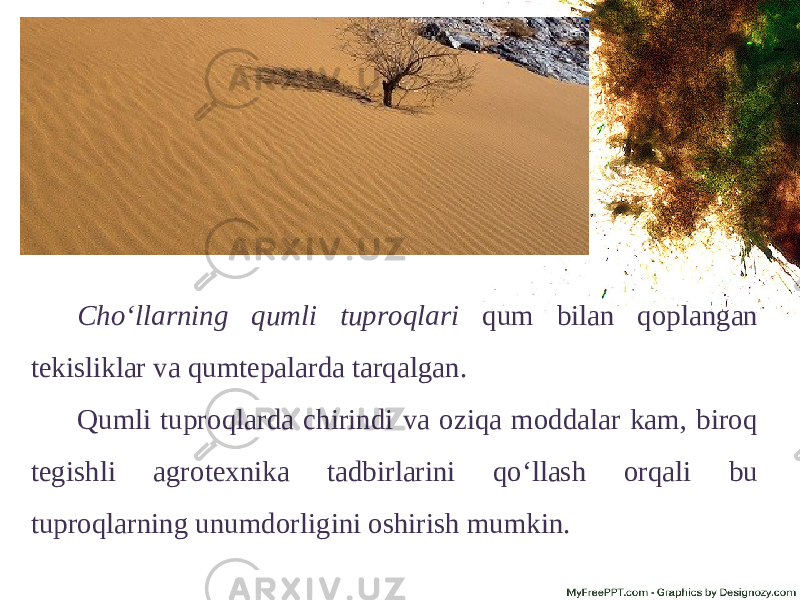 Cho‘llarning qumli tuproqlari qum bilan qoplangan tekisliklar va qumtepalarda tarqalgan. Qumli tuproqlarda chirindi va oziqa moddalar kam, biroq tegishli agrotexnika tadbirlarini qo‘llash orqali bu tuproqlarning unumdorligini oshirish mumkin. 