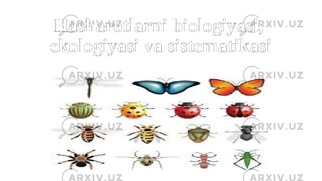 Hasharotlarni biologiyasi, ekologiyasi va sistematikasi 