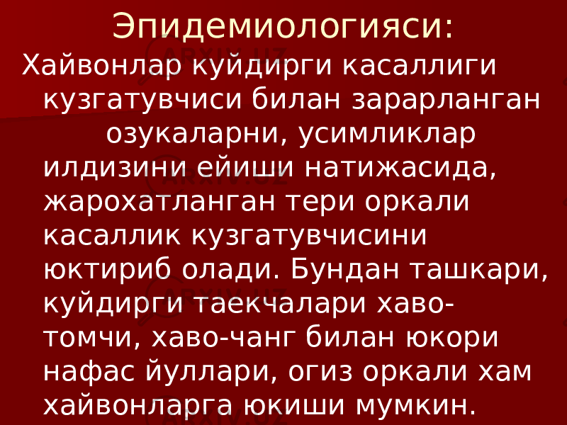 Эпидемиологияси: Хайвонлар куйдирги касаллиги кузгатувчиси билан зарарланган озукаларни, усимликлар илдизини ейиши натижасида, жарохатланган тери оркали касаллик кузгатувчисини юктириб олади. Бундан ташкари, куйдирги таекчалари хаво- томчи, хаво-чанг билан юкори нафас йуллари, огиз оркали хам хайвонларга юкиши мумкин. 