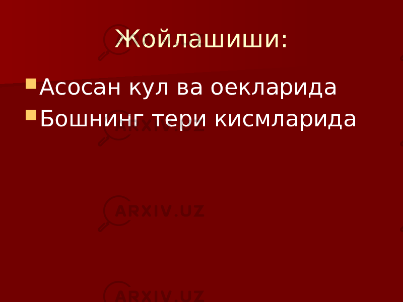 Жойлашиши:  Асосан кул ва оекларида  Бошнинг тери кисмларида 