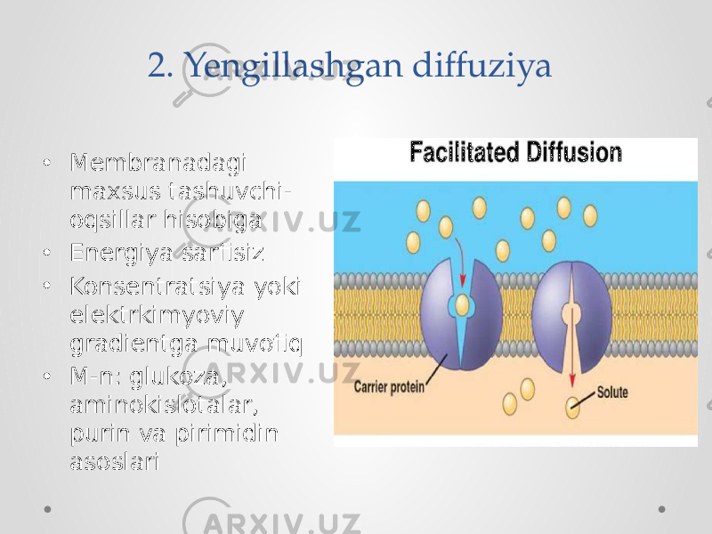 2. Yengillashgan diffuziya • Membranadagi maxsus tashuvchi- oqsillar hisobiga • Energiya sarfisiz • Konsentratsiya yoki elektrkimyoviy gradientga muvofiq • M-n: glukoza, aminokislotalar, purin va pirimidin asoslari 