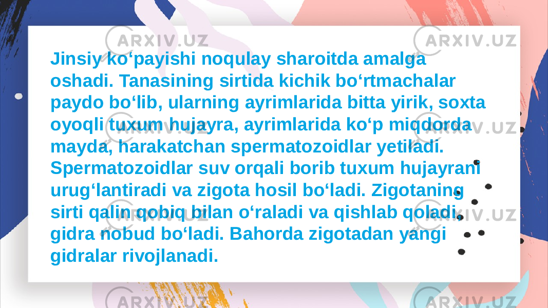 Jinsiy ko‘payishi noqulay sharoitda amalga oshadi. Tanasining sirtida kichik bo‘rtmachalar paydo bo‘lib, ularning ayrimlarida bitta yirik, soxta oyoqli tuxum hujayra, ayrimlarida ko‘p miqdorda mayda, harakatchan spermatozoidlar yetiladi. Spermatozoidlar suv orqali borib tuxum hujayrani urug‘lantiradi va zigota hosil bo‘ladi. Zigotaning sirti qalin qobiq bilan o‘raladi va qishlab qoladi, gidra nobud bo‘ladi. Bahorda zigotadan yangi gidralar rivojlanadi. 