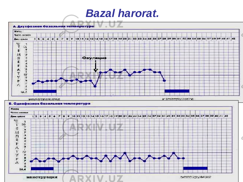 Bazal harorat. 