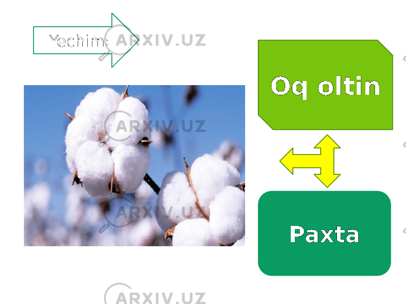 Oq oltin Yechim: Paxta 