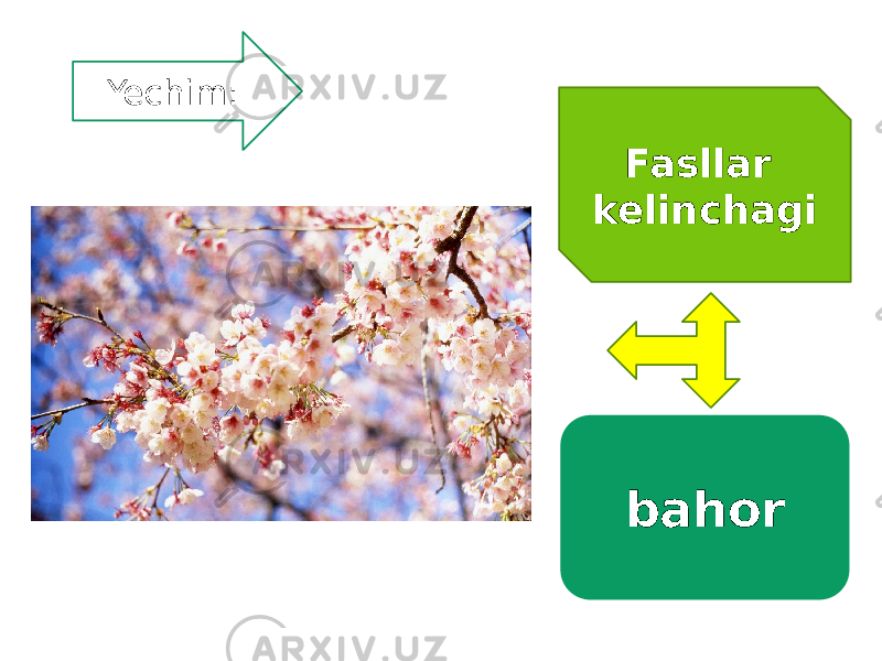 Fasllar kelinchagiYechim: bahor 