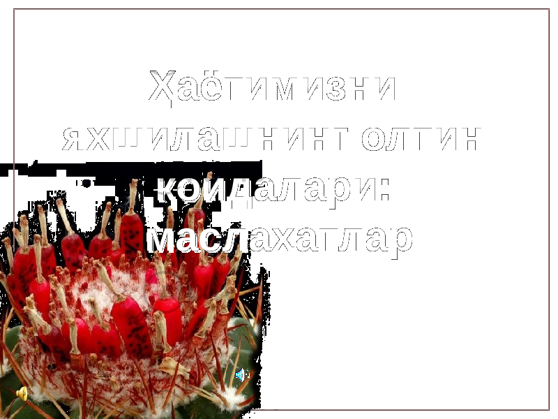 Ҳаётимизни Ҳаётимизни яхшилашнинг олтин яхшилашнинг олтин қоидалариқоидалари : : маслаҳатлармаслаҳатлар 