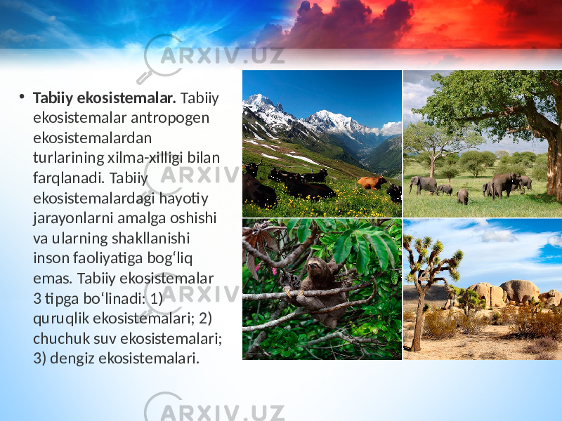 • Tabiiy ekosistemalar. Tabiiy ekosistemalar antropogen ekosistemalardan turlarining xilma-xilligi bilan farqlanadi. Tabiiy ekosistemalardagi hayotiy jarayonlarni amalga oshishi va ularning shakllanishi inson faoliyatiga bog‘liq emas. Tabiiy ekosistemalar 3 tipga bo‘linadi: 1) quruqlik ekosistemalari; 2) chuchuk suv ekosistemalari; 3) dengiz ekosistemalari. 