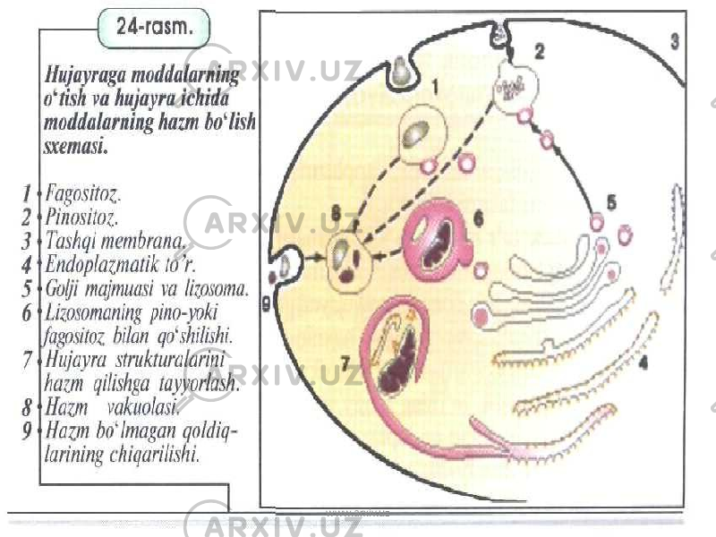 www.arxiv.uz 