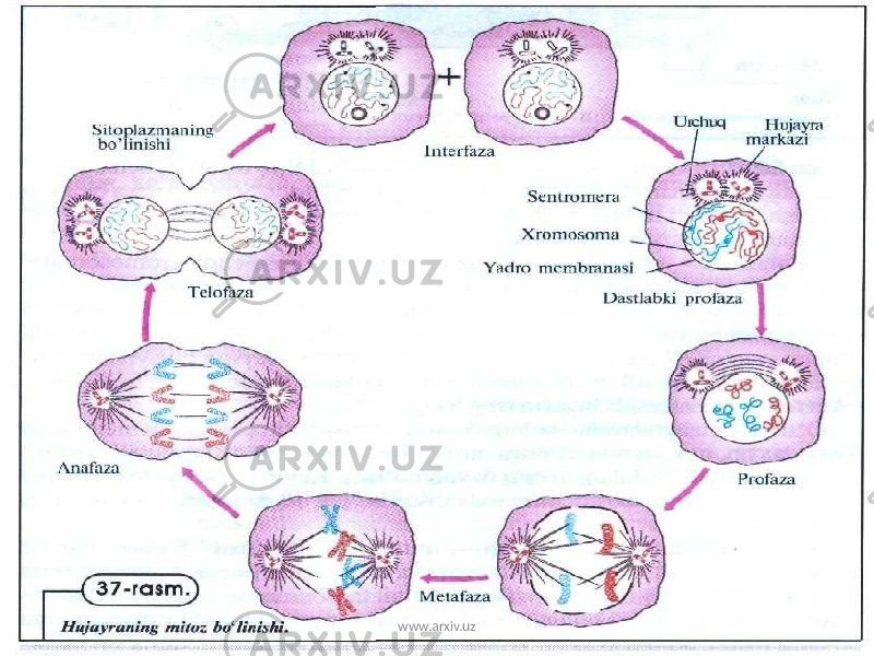 www.arxiv.uz 