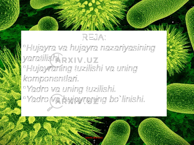 REJA: • Hujayra va hujayra nazariyasining yaratilishi. • Hujayraning tuzilishi va uning komponentlari. • Yadro va uning tuzilishi. • Yadro va hujayraning bo`linishi. www.arxiv.uz 