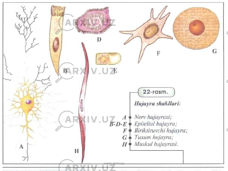 www.arxiv.uz 