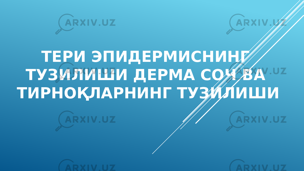 ТЕРИ ЭПИДЕРМИСНИНГ ТУЗИЛИШИ ДЕРМА СОЧ ВА ТИРНОҚЛАРНИНГ ТУЗИЛИШИ 