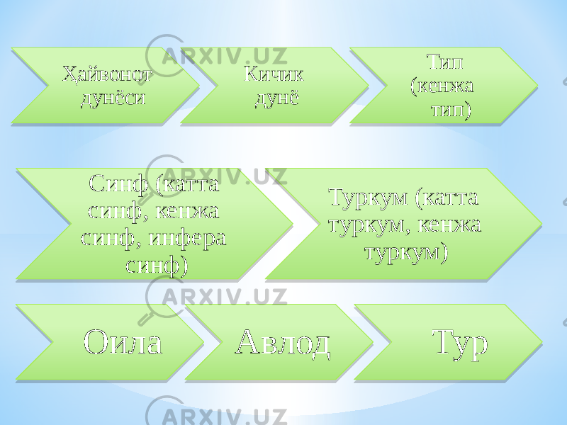  Ҳайвонот дунёси Кичик дунё Тип (кенжа тип) Синф (катта синф, кенжа синф, инфера синф) Туркум (катта туркум, кенжа туркум) Оила Авлод Тур0B 2D 1A 2F 1A 0B 30 20 08 33 07 07 07 30 08 08 0B 3406110D0B 35 0B 30 