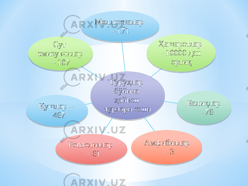 Гуруҳлар бўйича ҳайвон турлари сониМоллюскалар – 171 Ҳашаротлар – 10000 дан ортиқ Балиқлар – 76 Амфибиялар – 3 Рептелиялар – 61 Қушлар – 467 Сут эмизувчилар – 10749 03191D 140D 08 41 3D0B464546 2D 3D0B464B4B4B4B0B1A 0917 0B 3F0D 3D0B454C 0B 35 3D 0B 2C 3D 0B 4E 474C45 33 3E 3D0B464B45 