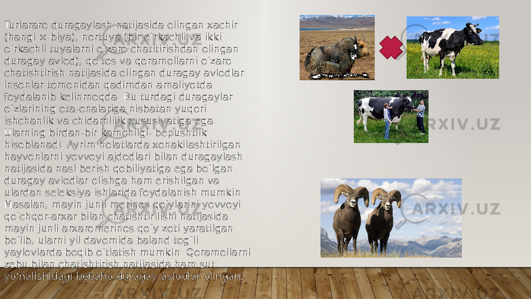 Turlararo duragaylash natijasida olingan xachir (hangi × biya), nortuya (bir o‘rkachli va ikki o‘rkachli tuyalarni o‘zaro chatitirishdan olingan duragay avlod), qo‘tos va qoramollarni o‘zaro chatishtirish natijasida olingan duragay avlodlar insonlar tomonidan qadimdan amaliyotda foydalanib kelinmoqda. Bu turdagi duragaylar o‘zlarining ota-onalariga nisbatan yuqori ishchanlik va chidamlilik xususiyatiga ega. Ularning birdan-bir kamchilgi- bepushtlik hisoblanadi. Ayrim holatlarda xonakilashtirilgan hayvonlarni yovvoyi ajdodlari bilan duragaylash natijasida nasl berish qobiliyatiga ega bo‘lgan duragay avlodlar olishga ham erishilgan va ulardan seleksiya ishlarida foydalanish mumkin. Masalan, mayin junli merinos qo‘ylarini yovvoyi qo‘chqor-arxar bilan chatishtirilishi natijasida mayin junli arxaromerinos qo‘y zoti yaratilgan bo‘lib, ularni yil davomida baland tog‘li yaylovlarda boqib o‘tlatish mumkin. Qoramollarni zebu bilan chatishtirish natijasida ham sut yo‘nalishidagi bebaho duragay avlodlar olingan. 