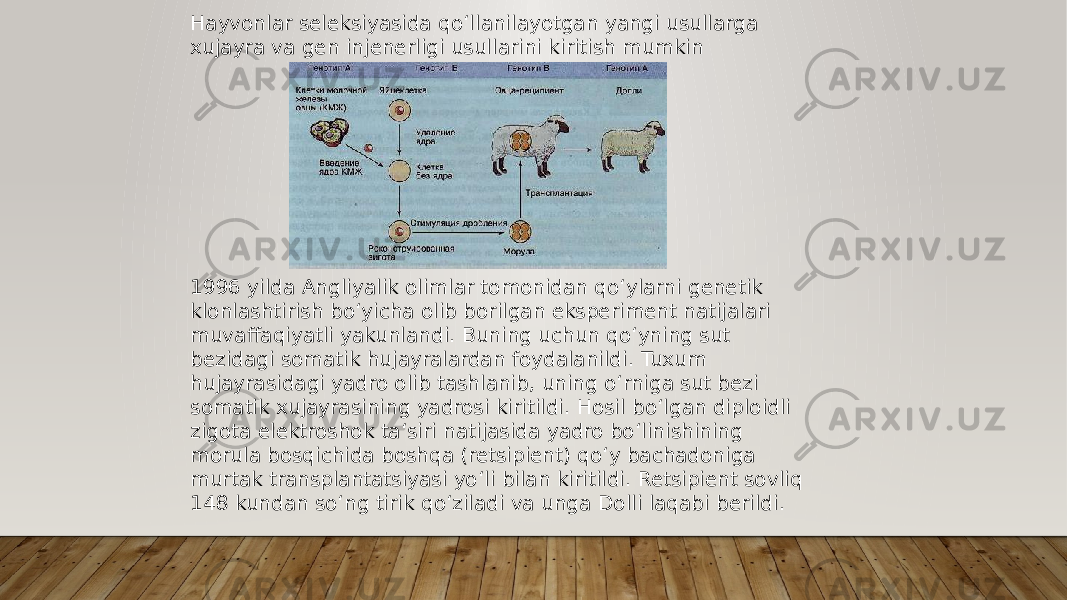 Hayvonlar seleksiyasida qo‘llanilayotgan yangi usullarga xujayra va gen injenerligi usullarini kiritish mumkin 1996 yilda Angliyalik olimlar tomonidan qo‘ylarni genetik klonlashtirish bo‘yicha olib borilgan eksperiment natijalari muvaffaqiyatli yakunlandi. Buning uchun qo‘yning sut bezidagi somatik hujayralardan foydalanildi. Tuxum hujayrasidagi yadro olib tashlanib, uning o‘rniga sut bezi somatik xujayrasining yadrosi kiritildi. Hosil bo‘lgan diploidli zigota elektroshok ta‘siri natijasida yadro bo‘linishining morula bosqichida boshqa (retsipient) qo‘y bachadoniga murtak transplantatsiyasi yo‘li bilan kiritildi. Retsipient sovliq 148 kundan so‘ng tirik qo‘ziladi va unga Dolli laqabi berildi. 